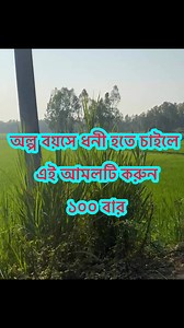 The history of #photography Began with the discovery of two critical principles: The first is camera obscura image projection, the second is the discovery that some substances are visibly altered by exposure to light [2]. There are no artifacts or descriptions that indicate any attempt to capture images with light sensitive materials prior to the 18tBegan with the discovery of two critical principles: The first is camera obscura image projection, the second is the discovery that some substances 