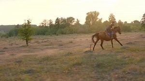 Woman riding horse by gallop