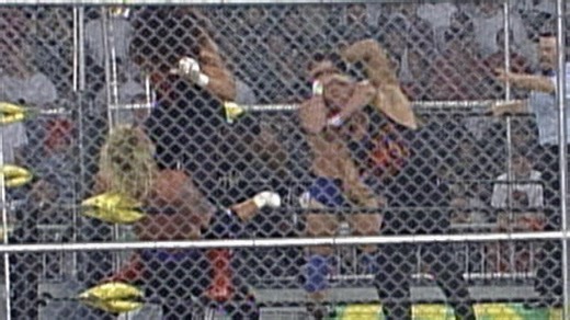 Team WCW vs. Team Wolfpac vs. Team nWo - War Games: Fall Brawl 1998