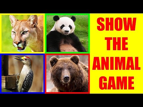 Show me the FOREST ANIMAL Game for Kids - Where is the animal?