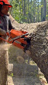 132K views · 1.2K reactions | Cutting big log | Iswoko | Facebook