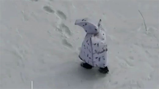 Shock moment another Russian ‘penguin’ soldier in anti-drone camo is blown up