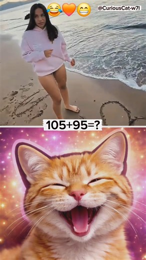 #CuriousCat #CatShorts #FunnyCats