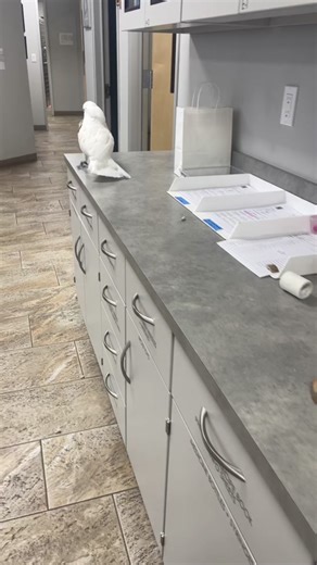 Weekend Dance Vibes: Sing and Celebrate with Joy