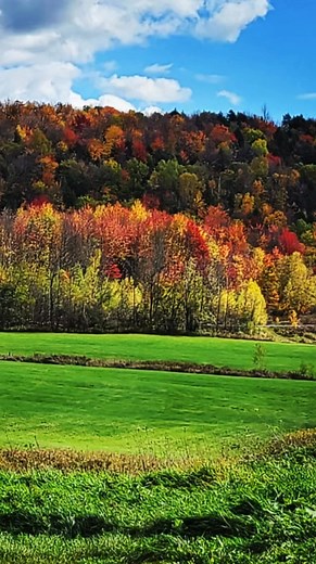 Imagine a place where small towns, community and mutual respect are the rule-not the exception. Where riding bicycles and walking are not only acceptable forms of transportation but encouraged. A rural lifestyle, with small locally owned shops, restaurants and businesses. Where the money you spend on fresh local produce, dairy products and entertainment benefit your neighbors not corporations thousands of miles away. Addison County, Vermont-the heart of the Champlain Valley, is just such a place