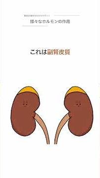 The effects of various hormones #Anatomy and Physiology