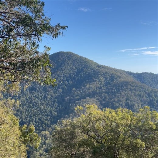 ADVENTURE: Conondale National Park – Booloumba Falls walk (3km)🌳💦🫶 A truly memorable 4WD adventure and walk, set in the rugged Conondale Range, featuring eucalypt forests, clear waterfalls, boulder-strewn creeks and a variety of wonderful wildlife🦜 SUITABILITY This walk is 3km return and is suitable for walkers with some experience. Dogs are not permitted in this national park. HIGHLIGHTS By the time you reach the Booloumba Falls carpark by 4WD, you’re at 500m above sea level. Take a short b
