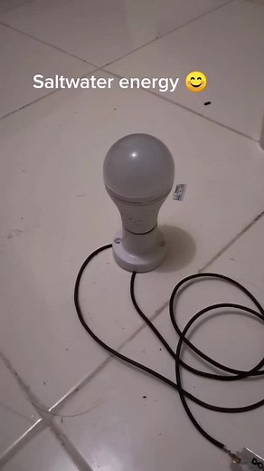 Exploring Saltwater Energy: Capstone Project Ideas for Stem Students