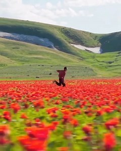 346K views · 38K reactions | Two type weather ✨ | Nature Peace | Facebook