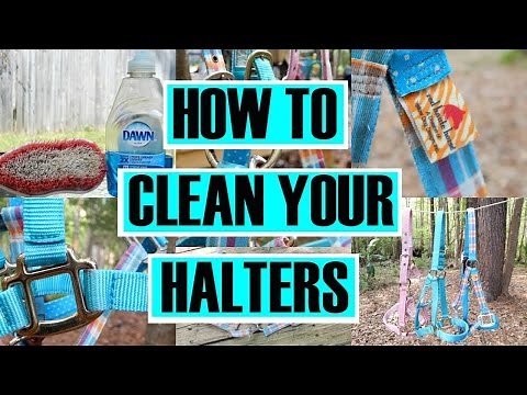 How to Clean Your Halters || simplyequine27