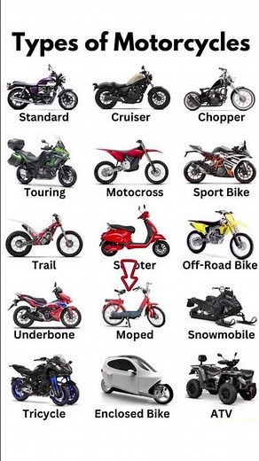 Every Motorcycle Rider Should Know These Bike Types! 🏍️💨 #shorts