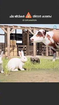ചില ജീവികൾ കാഷ്ടം തിന്നാൻ കാരണം 😲Why Do Some Animals Eat Poop?