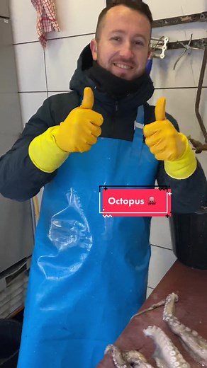 Octopus 🐙🔪 #learnontiktok #nikofish10 #fish #octopus🐙 #viral #fishmonger #fyp #ΜαθεΣτοΤικΤοκ #work