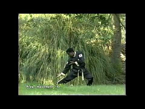 Tai Chi Chung Lesson 4