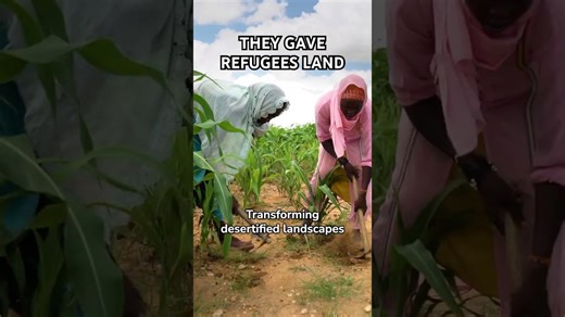 Chad’s bold solution for refugees