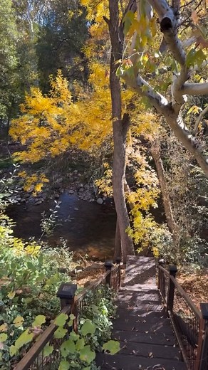 For years, my husband and I have dreamed of creating a little collection of homes in the places we love most: spots we can stay in short term, rent out when we’re away, and enjoy everything from oceans to mountains to red rocks to pine trees. We love variety and adventure. In early August, on our way home from work, he says, “We’ll probably need to buy another short-term rental this year for tax reasons.” Without skipping a beat, I said, “It has to be an A-frame on the creek in Sedona.” Twenty m