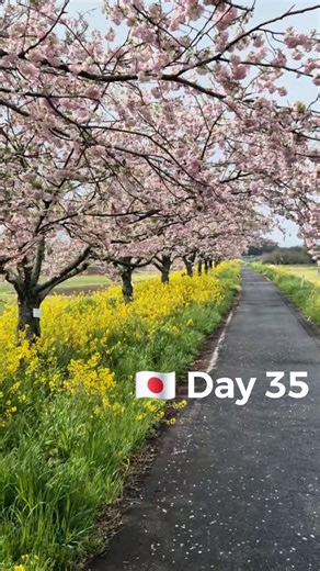 Day 35 - Walking across Japan for basic income 35日目 - ベーシックインカムを求めて日本中を歩く | Basic Income Walk