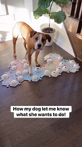 Luna communicates using talking buttons! | Luna The Pittie