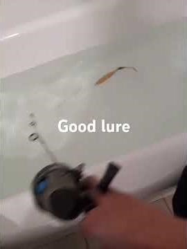 best muskie lure I've made