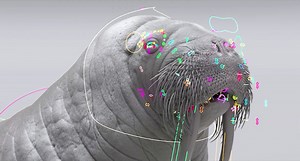 Untold Studios VFX Process with Houdini https://cgmeetup.com/news/untold-studios-vfx-process-with-houdini-981 In this Houdini Connect Untold Studios offers a behind-the-scenes perspective on their VFX process, focusing on their collaboration with VCCP and Virgin Media to produce a memorable feature with a CG walrus. #houdini #VFX | CGMeetUp