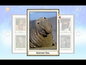 Learn North American Animals Sounds And Facts