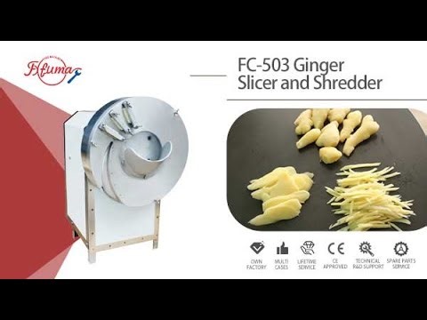 FC-503 Ginger Slicing and Shredding Machine 150-250kg/h - FXFM MACHINE