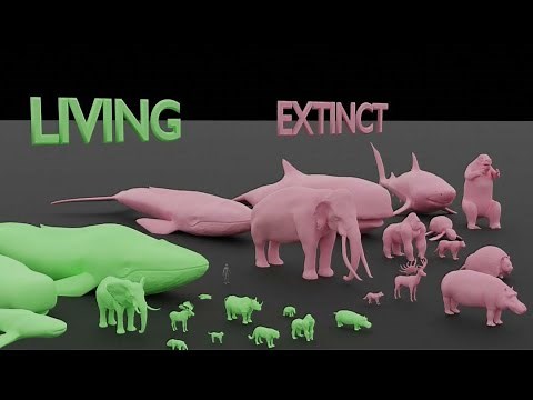 Largest Living vs Extinct Animals Compared to Human Sizes || 3D Animation