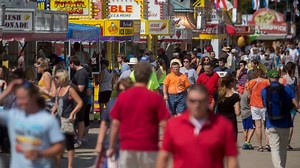 A better way to find a face in a crowd is using humans and machines