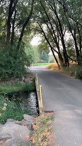 38 reactions | Have you explored Irene Rinehart Riverfront Park before? Located just minutes from Downtown Ellensburg, this park is a favorite for walking, picnicking, biking, snowshoeing, and more! It is kid-friendly and dog-friendly, features plenty of benches to stop and rest at, and the main trail leads to Carey Lake, otherwise known as People’s Pond! | My Ellensburg | Facebook