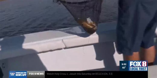 Big Fish Report: Catch Inshore Fish