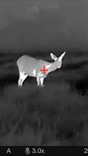 “Epic mountain goat hunt! 🏔️🔥 Wild moment in the mountains! #GoatHunting #Shorts #HuntLife”