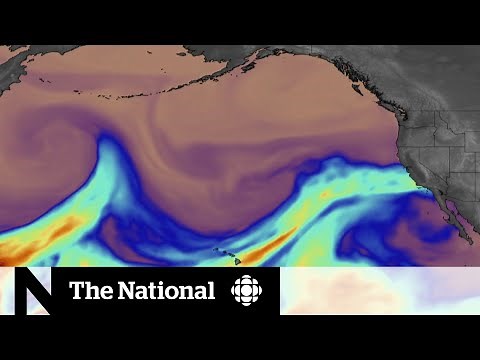 Atmospheric river: Explaining the weather system soaking B.C.