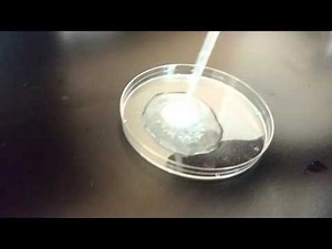 Calcium Carbonate + HCl Reaction Experiment