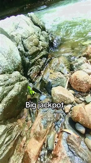 Discovering Pure Gold in Amazing Treasure Finds