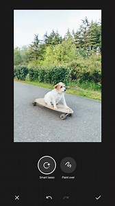 Flex your skateboarding pet and slay the internet 😎 Get ready to have fun with #OPPOAIEraser — available soon on #OPPOReno11F5G and #OPPOReno11Series5G ✨ | OPPO