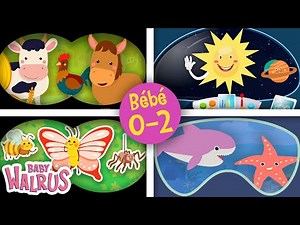 Cache-Cache - Découvre les animaux de la ferme, l’espace, les insectes et la mer ! 🦭 🐝 🐑 🪐