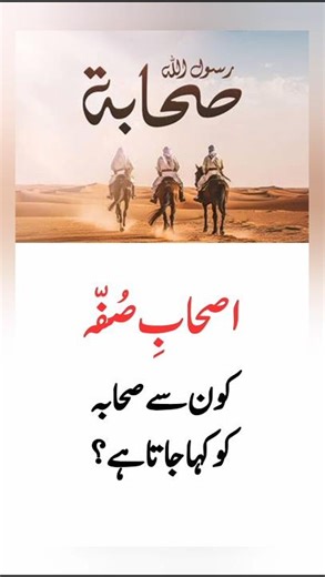 Studying Islam | Basic Islamic Knowledge #islamiceducation #islamicquestion #study #islam