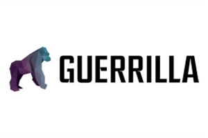 Web Design & Development