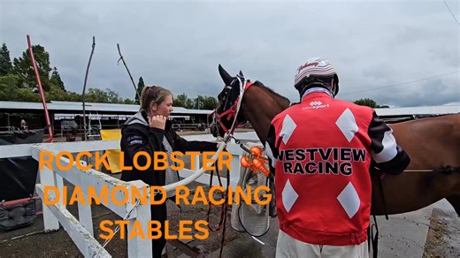 The Lobster bobbled a bit at the start and looked like hit the wall at the fifty , bring on Sunday. | Harness Racing Unhinged