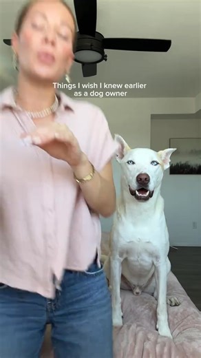 22K views · 68 reactions | 25% OFF YOUR FIRST ORDER: From teeth to tail and everything in between, this bundle is packed with clean ingredients like probiotics, postbiotics, & omegas to support their joints, skin, coat, digestion, immune system, oral health, & more. It’s never been easier, or tastier, to help your pet feel their best every day! | Pet Honesty | Facebook