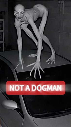 Real Alien Caught in Garage 👽 (CCTV)