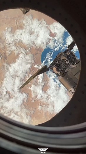 87K views · 990 reactions | Explore the intricate workings of the...