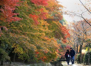 What Is the Typical Relationship Between a Japanese Married Couple?