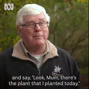 14K views · 500 reactions | Did you have special garden at your...