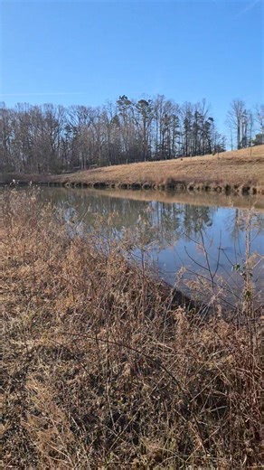 Cleaning a pond bank with the VMC brush cutter today. | Clear Ridge Inc.