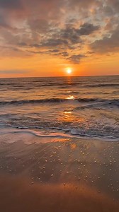 26K views · 1.9K reactions | Happy Thanksgiving Eve, Friends! ☀️☕️ Current temp ~ 53 Water temp ~ 61 Next low tide ~ 10:51 am Next high tide ~ 4:38 pm I hope all of you have a wonderful day ~ and to those of you who are traveling, may your journey be a safe one! Let’s Beach!! ️ #myrtlebeach #vacation #sunrise #goodmorning #Wednesday #November #southcarolina #peace #love #beachlife #goodvibes #beach #morning #morningvibes | Myrtle Beach Grand Strand Life | Facebook