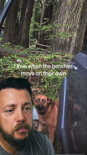 the benches moving on their own?!