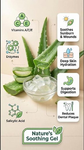 The Science of Aloe Vera: Salicylic Acid, Skin Hydration & Digestion 🌿