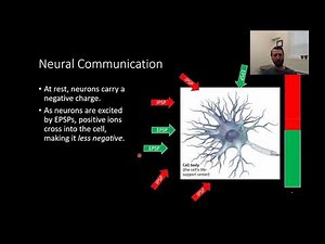 PSY210 Ch2 Pt6: Synaptic Integration