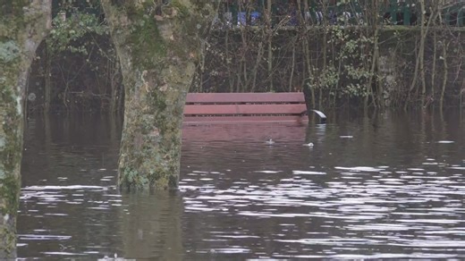 Wexford and Laois hit with floods, impact to continue